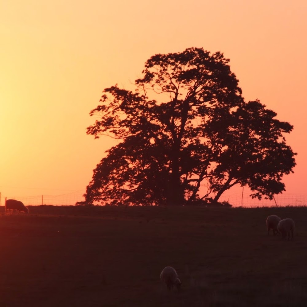 Meet your Posher, Heidi